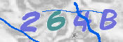 画像認証